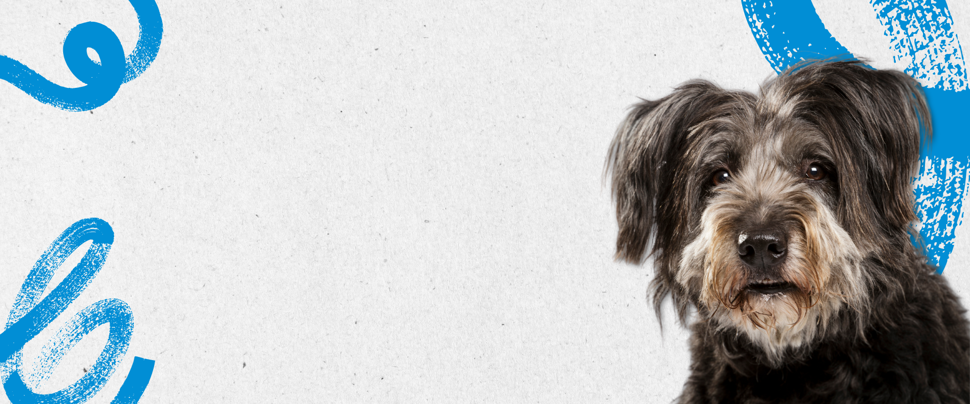 Clínica Veterinaria <br/> Alcalá