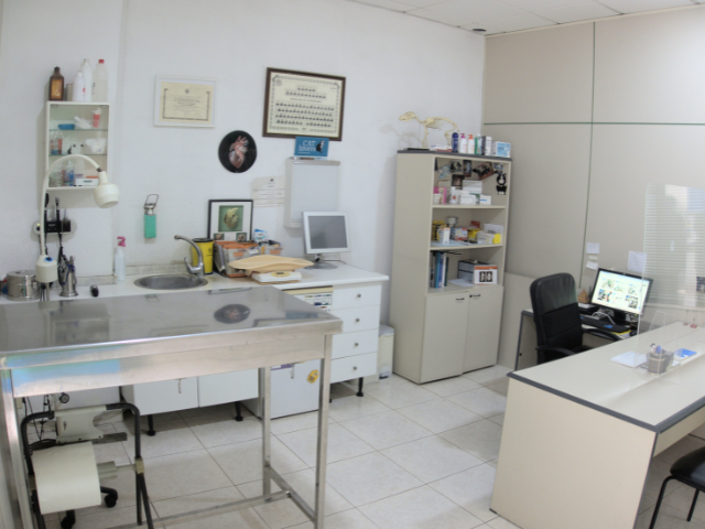 veterinaria en el sur de tenerife instalaciones consulta 1