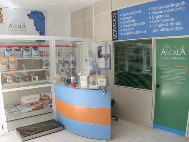 veterinaria en el sur de tenerife instalaciones recepción