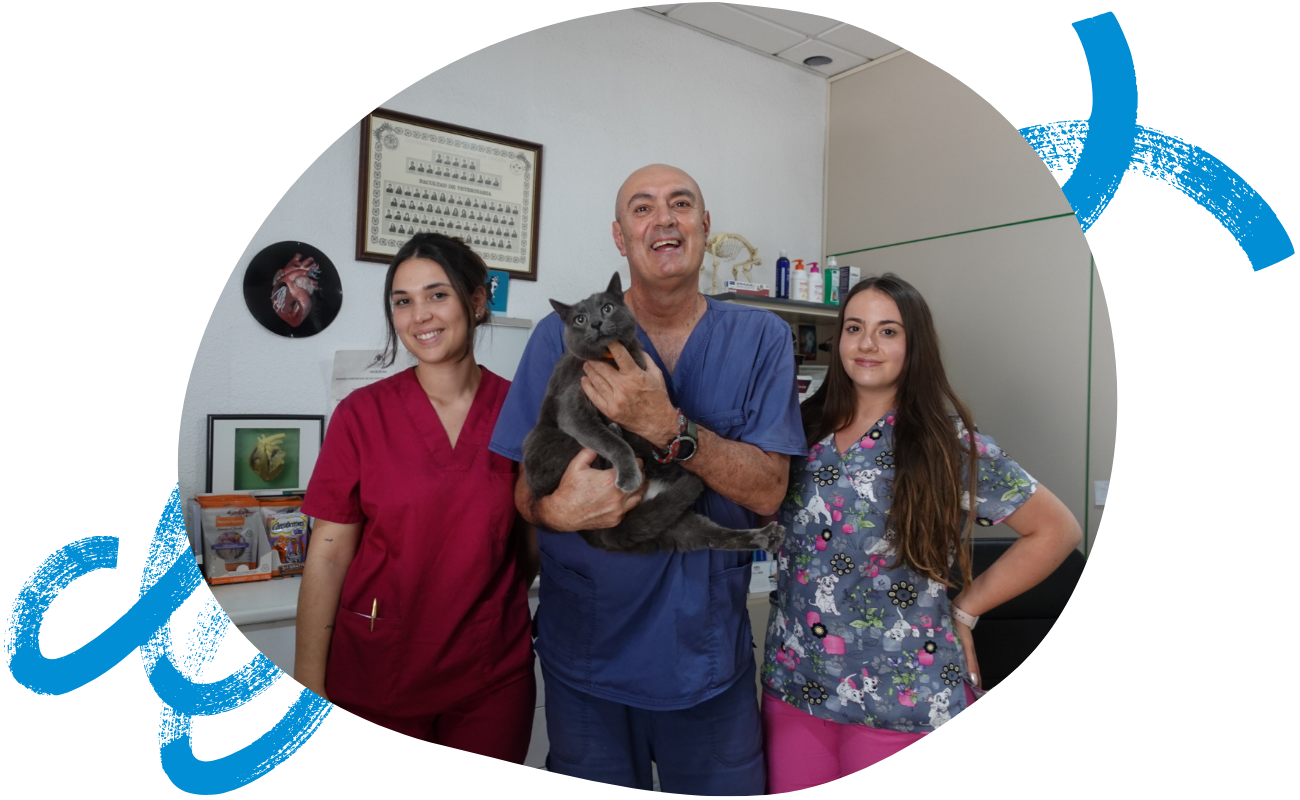 veterinaria en el sur de tenerife | equipo veterinario